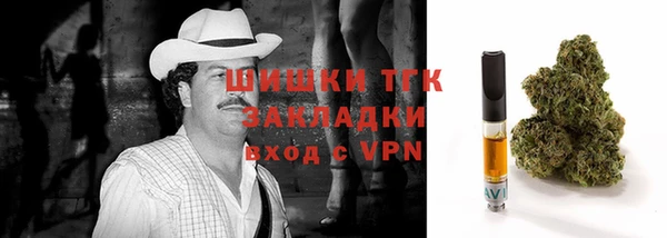 амф Ладушкин