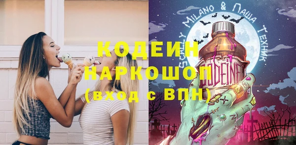 амф Ладушкин